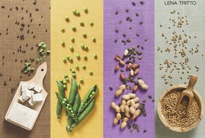 Immagine con diversi alimenti: legumi, frutta secca, cereali e formaggi