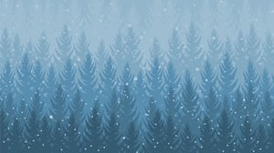 Pini innevati